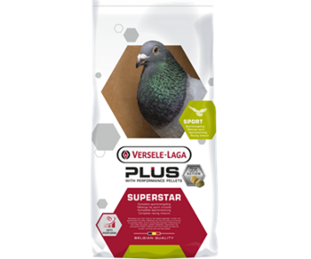 411068 Plus I.C.+ Superstar
